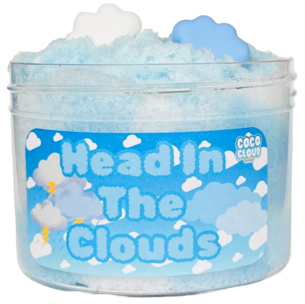 Head in the Clouds